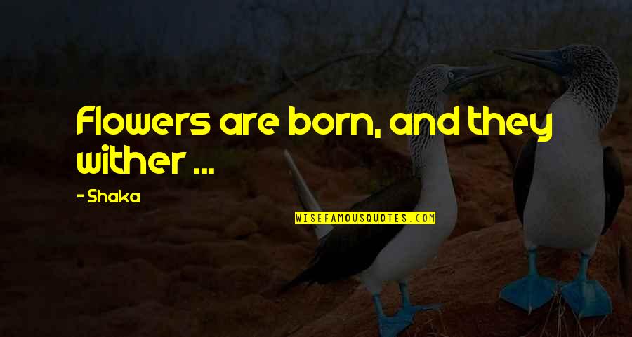 Deslindarme Quotes By Shaka: Flowers are born, and they wither ...