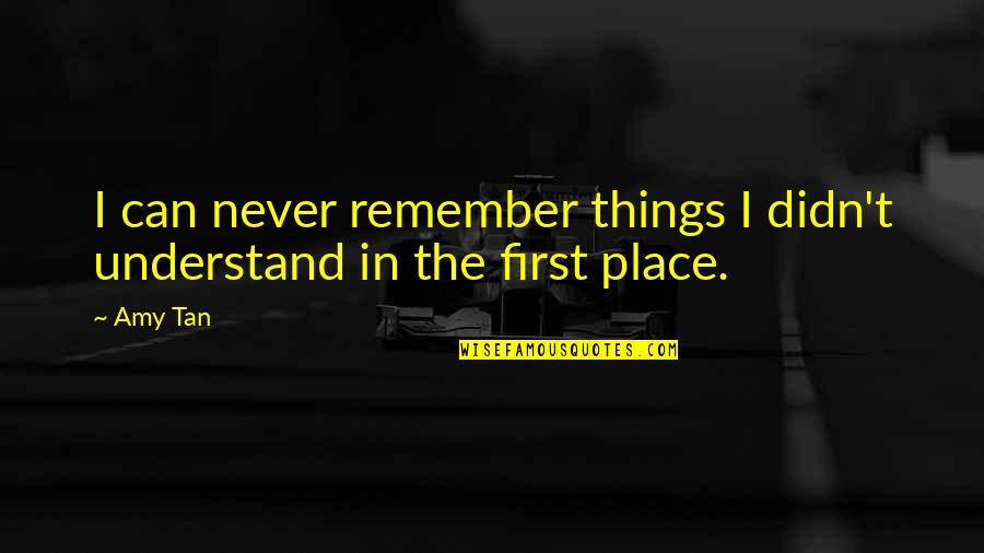 Desmaio Subito Quotes By Amy Tan: I can never remember things I didn't understand