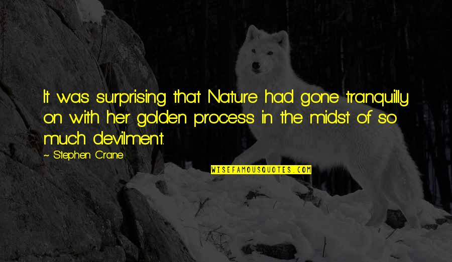 Desmantelamiento Quotes By Stephen Crane: It was surprising that Nature had gone tranquilly