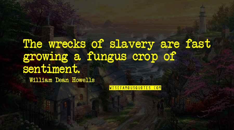 Desmarests Hutia Quotes By William Dean Howells: The wrecks of slavery are fast growing a