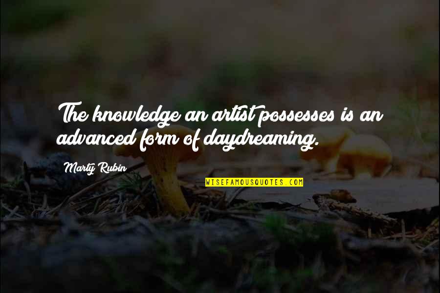 Desmayaron Quotes By Marty Rubin: The knowledge an artist possesses is an advanced