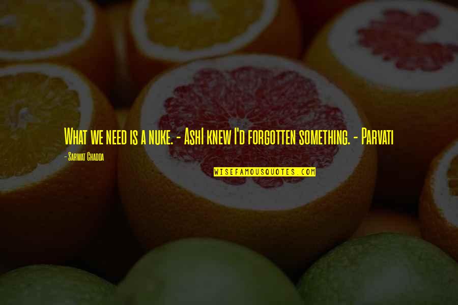 Desmedido Definicion Quotes By Sarwat Chadda: What we need is a nuke. - AshI