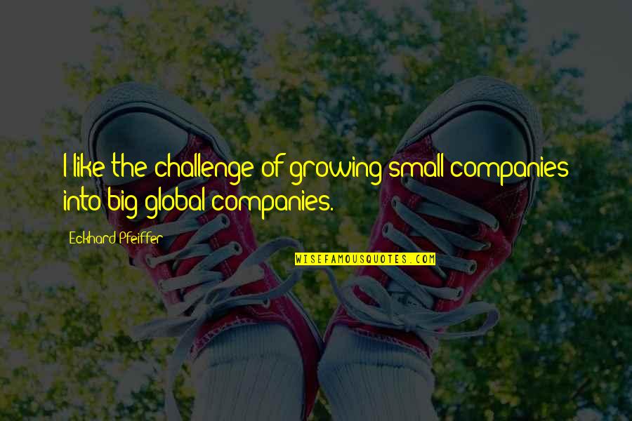 Desmesnes Quotes By Eckhard Pfeiffer: I like the challenge of growing small companies