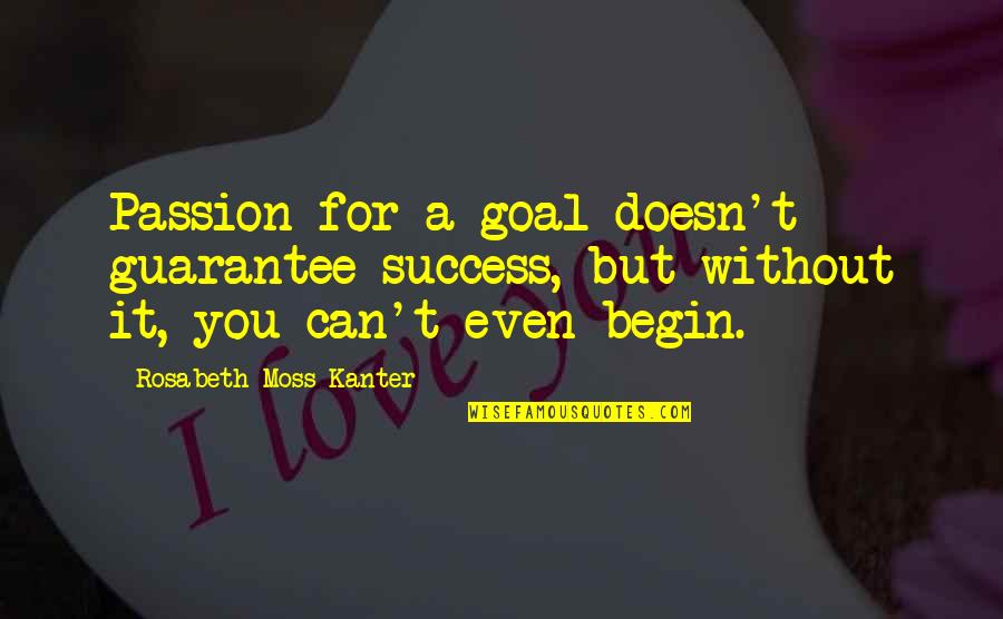 Desocupados Berni Quotes By Rosabeth Moss Kanter: Passion for a goal doesn't guarantee success, but