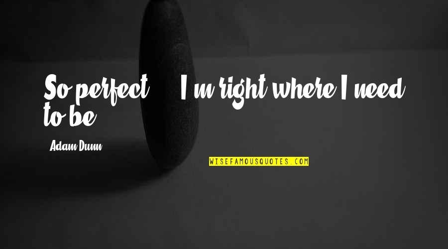 Desolately Quotes By Adam Dunn: So perfect - I'm right where I need