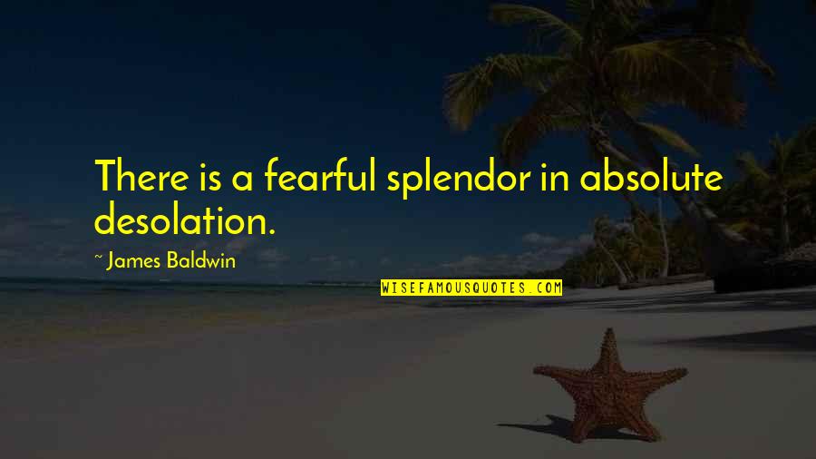 Desolation Quotes By James Baldwin: There is a fearful splendor in absolute desolation.