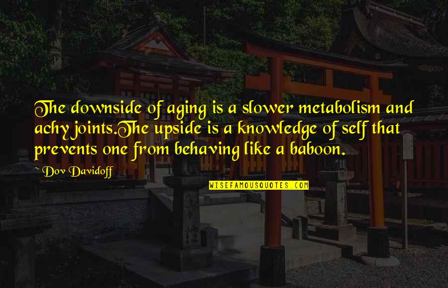 Desolations Edge Map Quotes By Dov Davidoff: The downside of aging is a slower metabolism