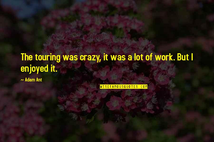Despachar Bagagem Quotes By Adam Ant: The touring was crazy, it was a lot