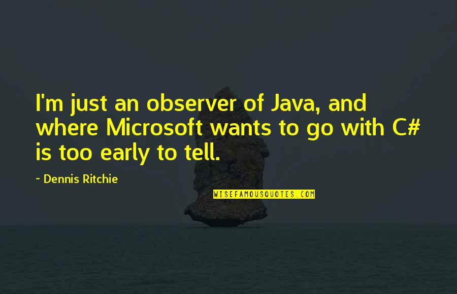 Despachar Bagagem Quotes By Dennis Ritchie: I'm just an observer of Java, and where