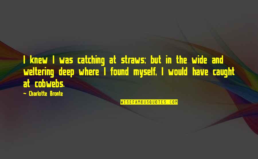 Despair And Hopelessness Quotes By Charlotte Bronte: I knew I was catching at straws; but