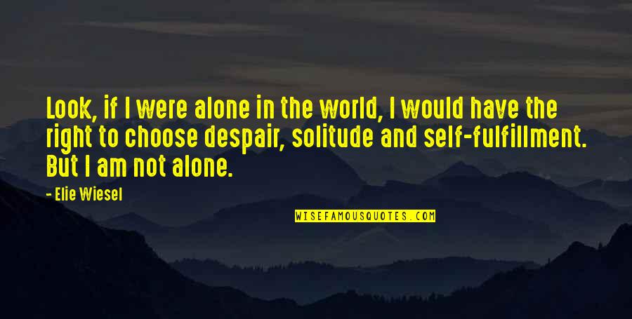 Despair In The World Quotes By Elie Wiesel: Look, if I were alone in the world,