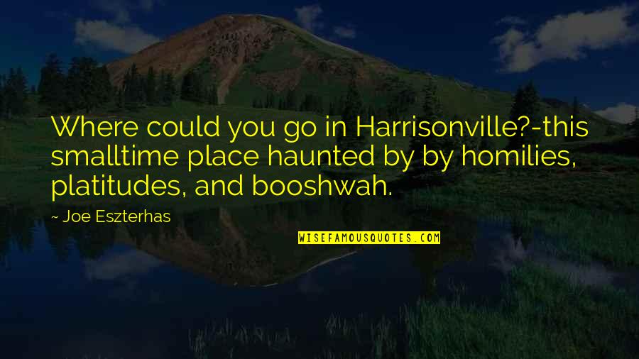 Despartitor Quotes By Joe Eszterhas: Where could you go in Harrisonville?-this smalltime place