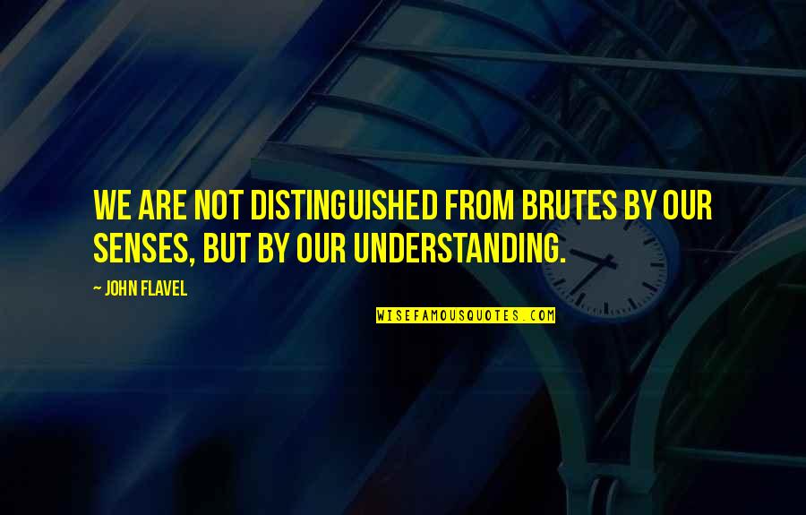 Despechada En Quotes By John Flavel: We are not distinguished from brutes by our
