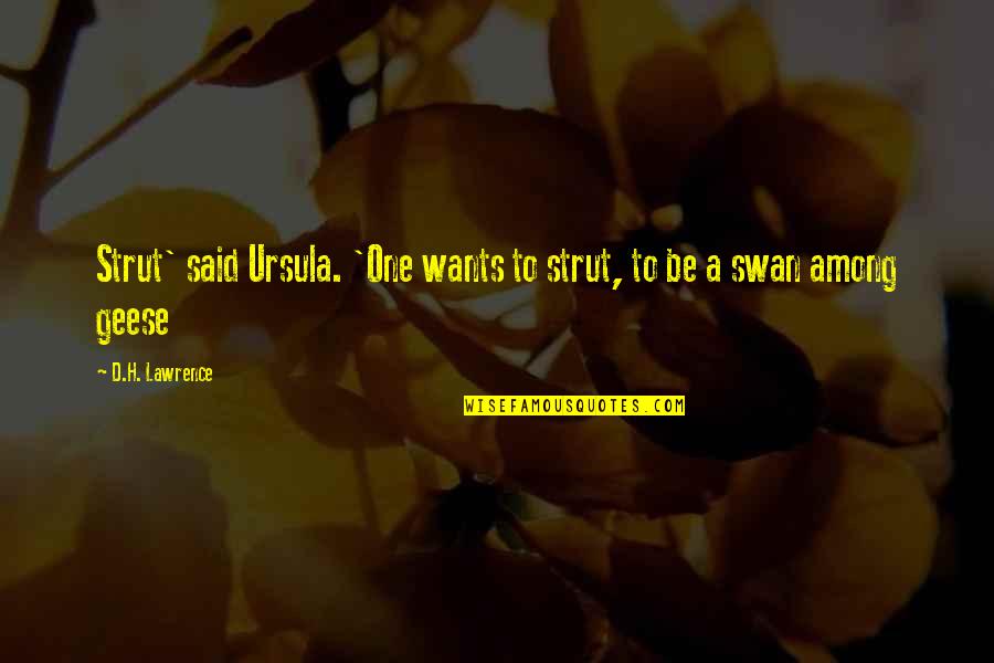 Despechada Ingles Quotes By D.H. Lawrence: Strut' said Ursula. 'One wants to strut, to