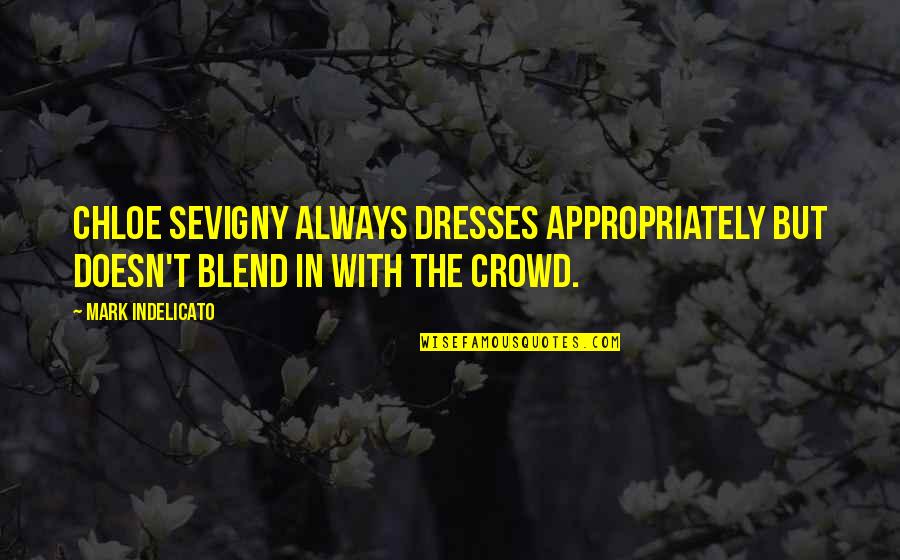 Desperate Housewives Season 8 Susan Quotes By Mark Indelicato: Chloe Sevigny always dresses appropriately but doesn't blend