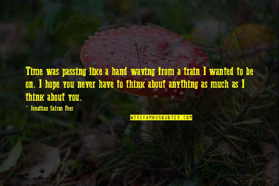 Desperate Life Quotes By Jonathan Safran Foer: Time was passing like a hand waving from Desperate Life Quotes By Jonathan Safran Foer: Time was passing like a hand waving from