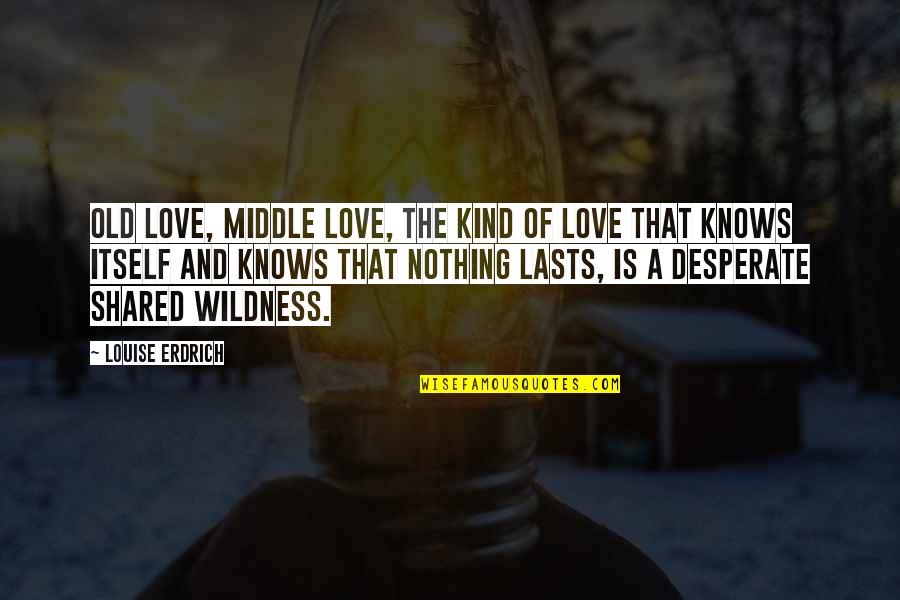 Desperate Love Quotes By Louise Erdrich: Old love, middle love, the kind of love