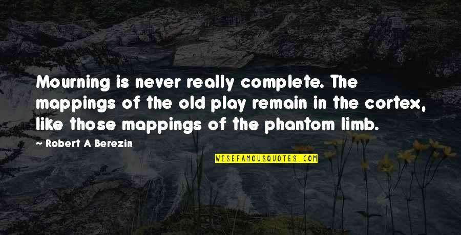 Desperto 2 Quotes By Robert A Berezin: Mourning is never really complete. The mappings of Desperto 2 Quotes By Robert A Berezin: Mourning is never really complete. The mappings of