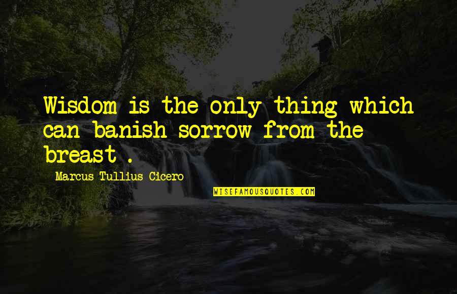 Despilfarro De Dinero Quotes By Marcus Tullius Cicero: Wisdom is the only thing which can banish
