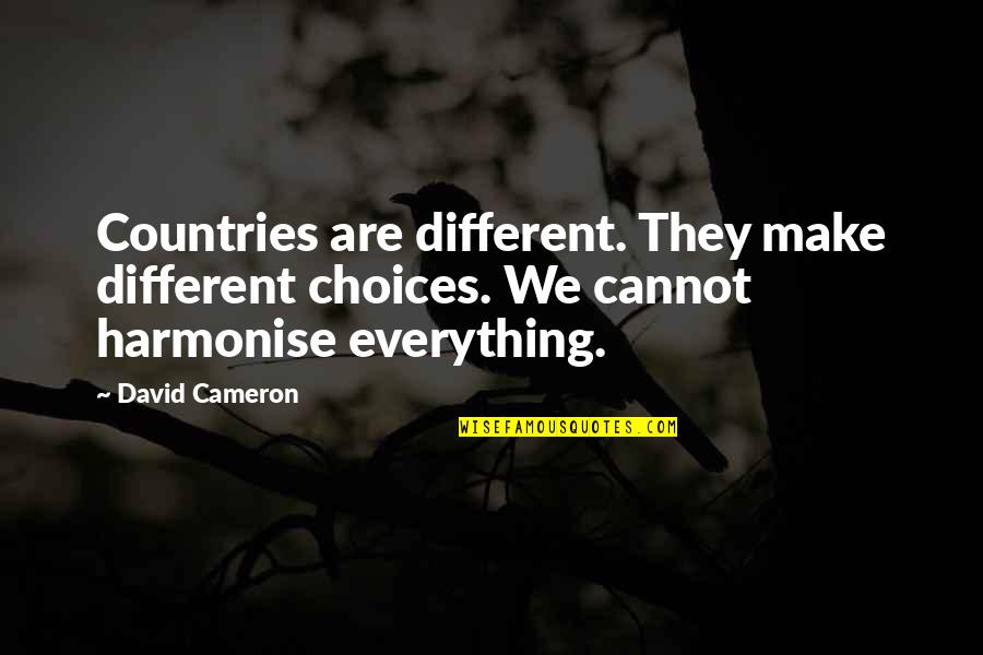 Desplazado Definicion Quotes By David Cameron: Countries are different. They make different choices. We Desplazado Definicion Quotes By David Cameron: Countries are different. They make different choices. We
