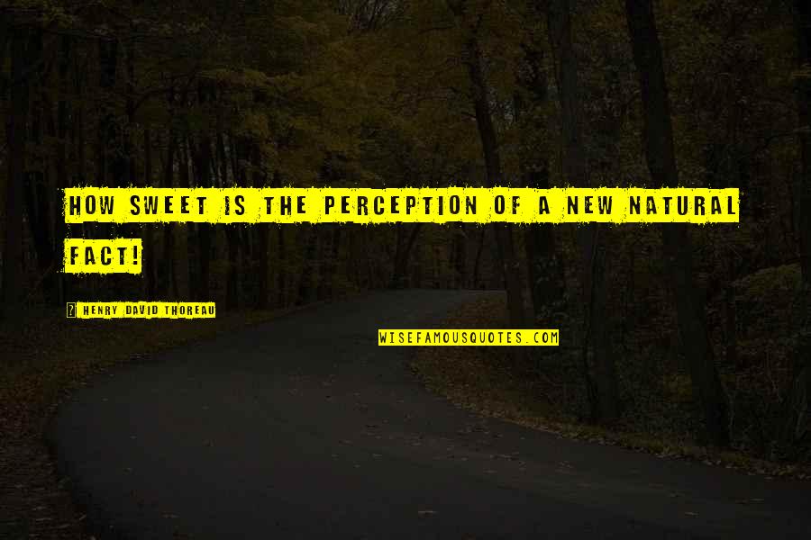 Desplazados Por Quotes By Henry David Thoreau: How sweet is the perception of a new