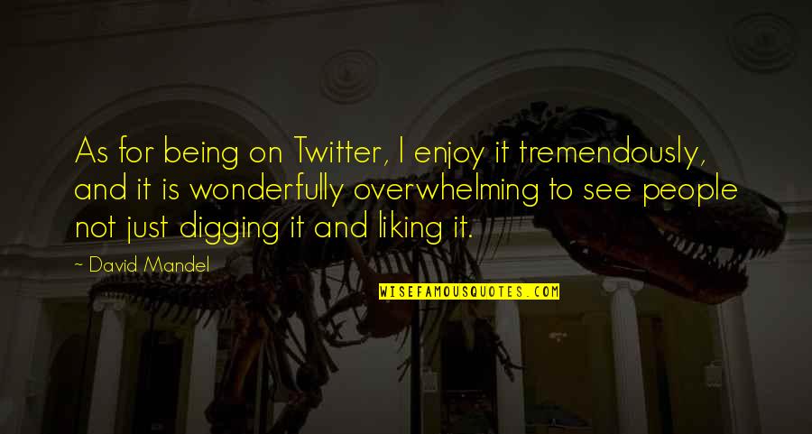 Destacamento En Quotes By David Mandel: As for being on Twitter, I enjoy it