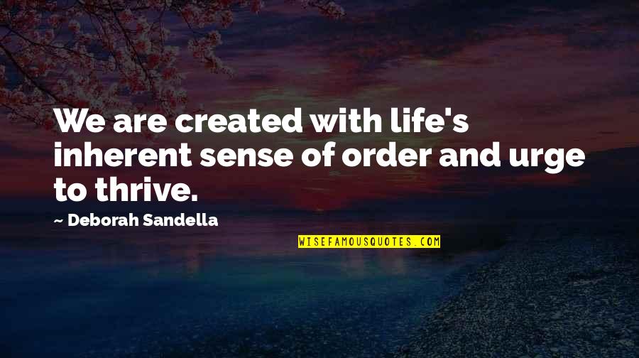 Desterrados Significado Quotes By Deborah Sandella: We are created with life's inherent sense of
