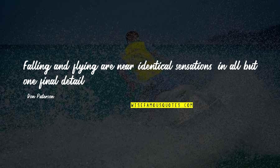 Destierro Del Quotes By Don Paterson: Falling and flying are near identical sensations, in