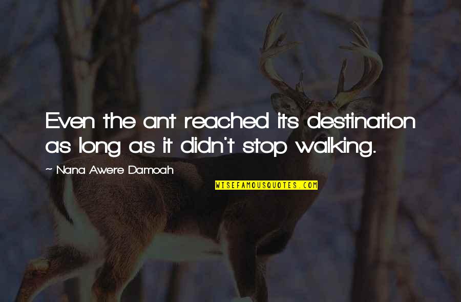 Destination Reached Quotes By Nana Awere Damoah: Even the ant reached its destination as long