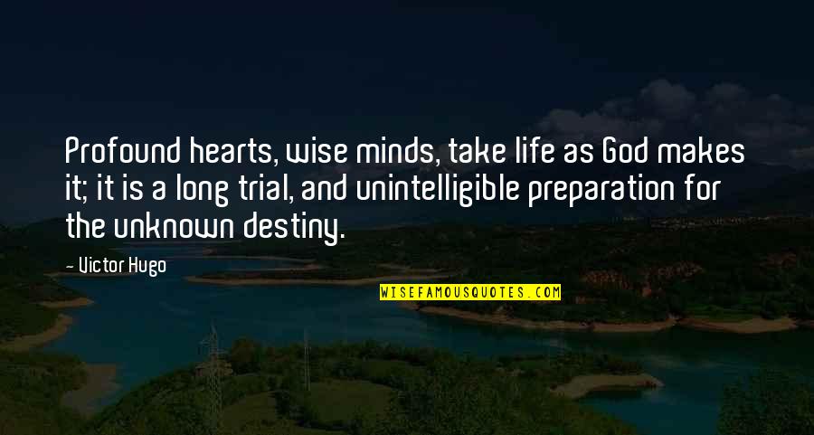Destiny And God Quotes By Victor Hugo: Profound hearts, wise minds, take life as God