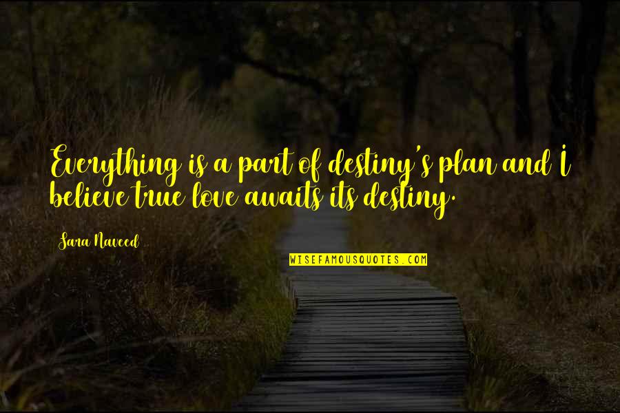 Destiny And Love Quotes By Sara Naveed: Everything is a part of destiny's plan and