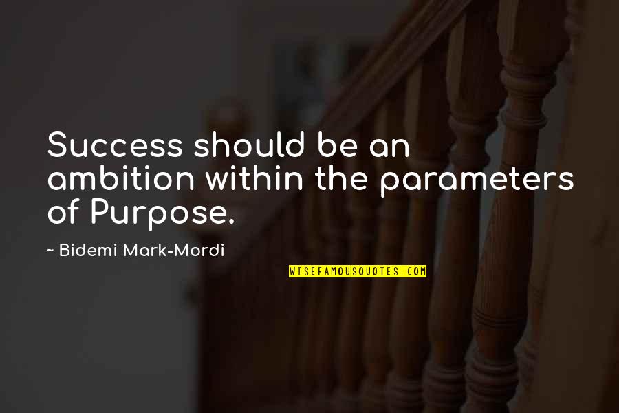 Destiny And Success Quotes By Bidemi Mark-Mordi: Success should be an ambition within the parameters