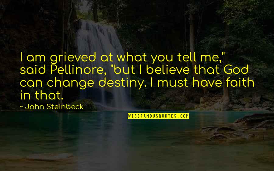 Destiny Change Quotes By John Steinbeck: I am grieved at what you tell me,"