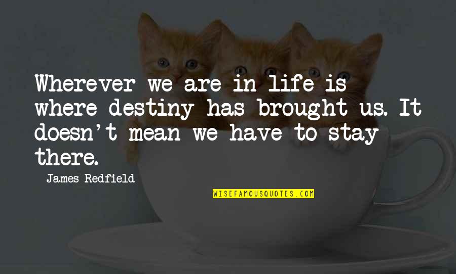 Destiny In Life Quotes By James Redfield: Wherever we are in life is where destiny