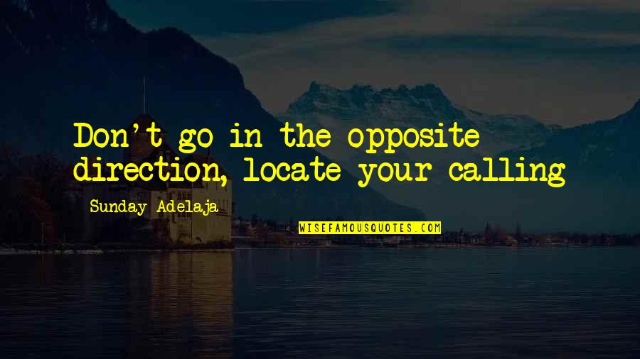 Destiny In Life Quotes By Sunday Adelaja: Don't go in the opposite direction, locate your