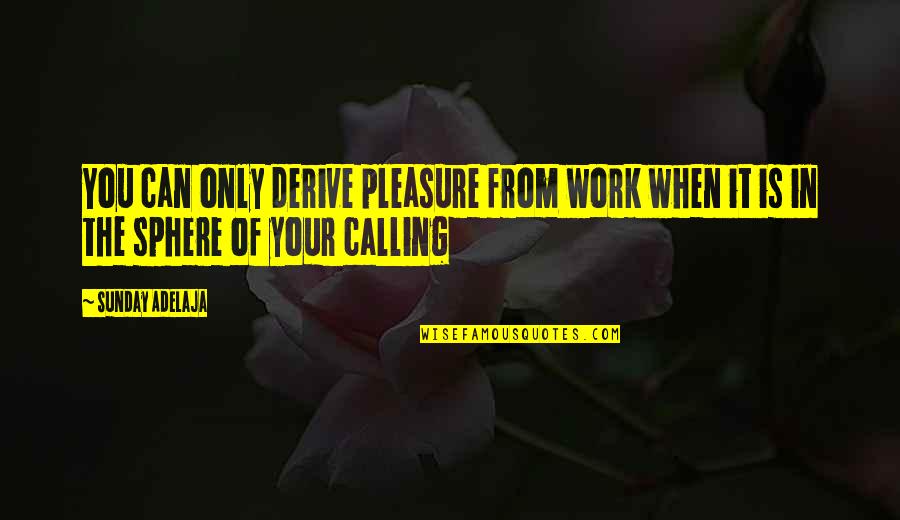 Destiny In Love Quotes By Sunday Adelaja: You can only derive pleasure from work when