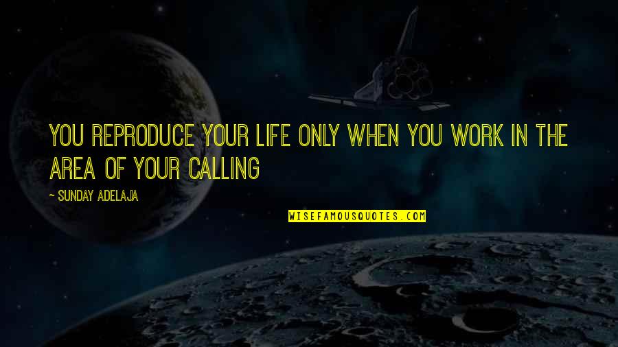 Destiny In Love Quotes By Sunday Adelaja: You reproduce your life only when you work