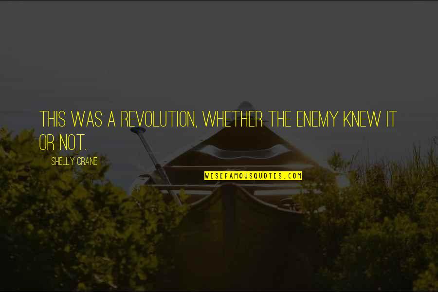 Destiny In Romeo And Juliet Quotes By Shelly Crane: This was a revolution, whether the enemy knew Destiny In Romeo And Juliet Quotes By Shelly Crane: This was a revolution, whether the enemy knew