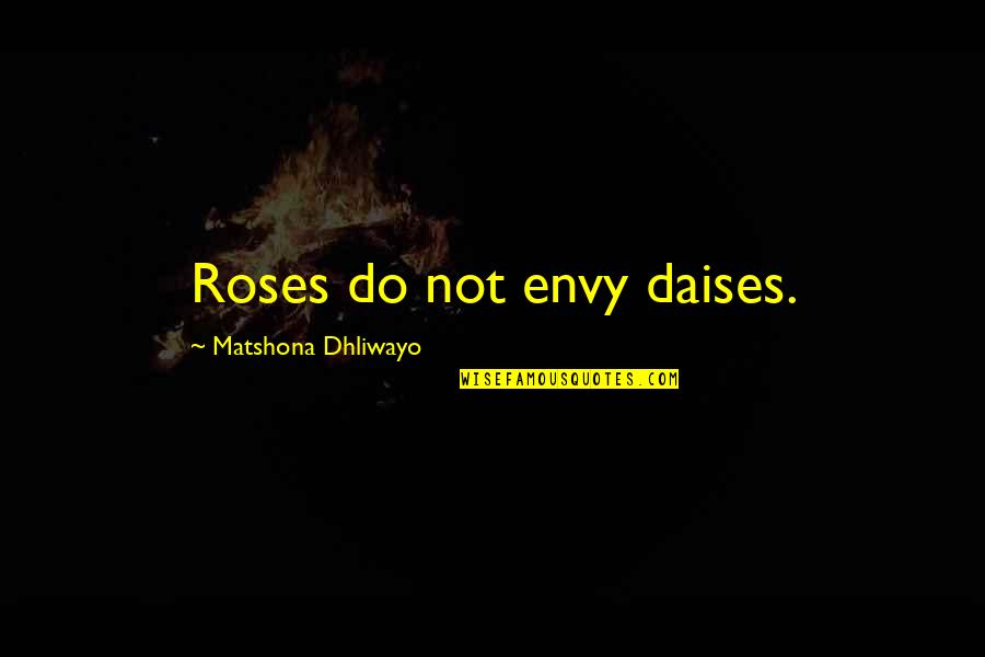 Destiny Knocks Quotes By Matshona Dhliwayo: Roses do not envy daises.