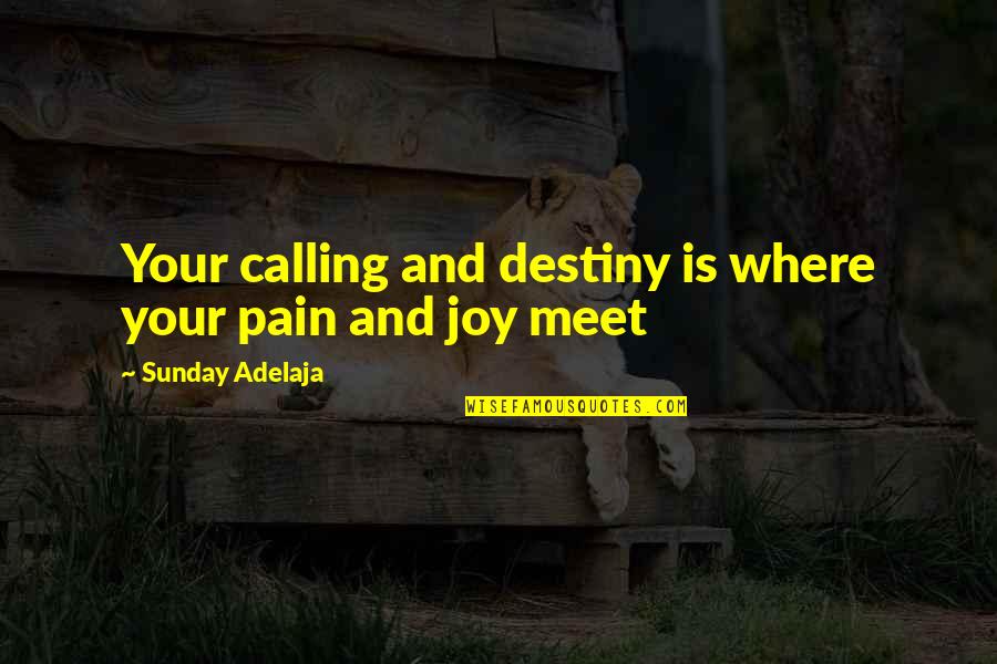 Destiny Meet Us Quotes By Sunday Adelaja: Your calling and destiny is where your pain Destiny Meet Us Quotes By Sunday Adelaja: Your calling and destiny is where your pain