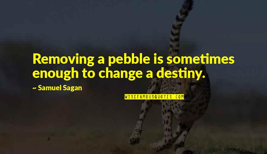 Destiny Quotes By Samuel Sagan: Removing a pebble is sometimes enough to change