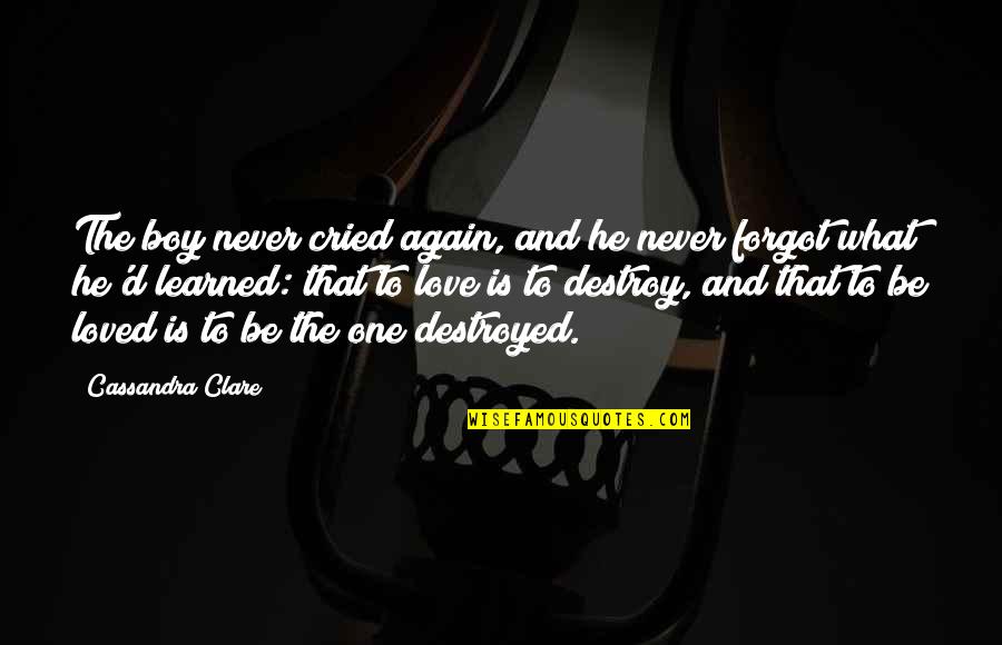 Destroy City Quotes By Cassandra Clare: The boy never cried again, and he never