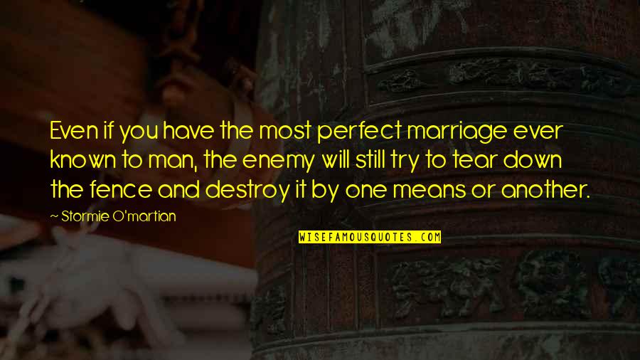Destroy Your Enemy Quotes By Stormie O'martian: Even if you have the most perfect marriage