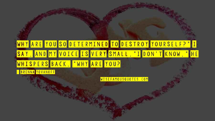 Destroy Yourself Quotes By Brenna Yovanoff: Why are you so determined to destroy yourself?"
