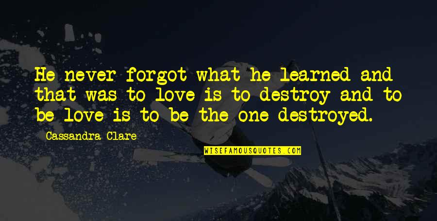 Destroyed Love Quotes By Cassandra Clare: He never forgot what he learned and that