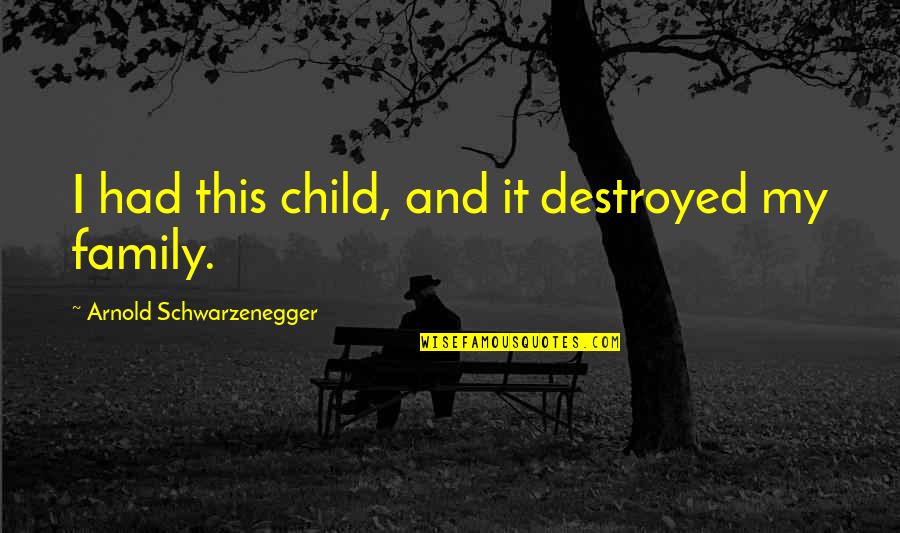 Destroyed Quotes By Arnold Schwarzenegger: I had this child, and it destroyed my