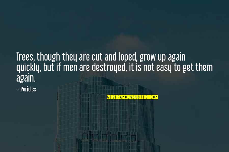 Destroyed Quotes By Pericles: Trees, though they are cut and loped, grow