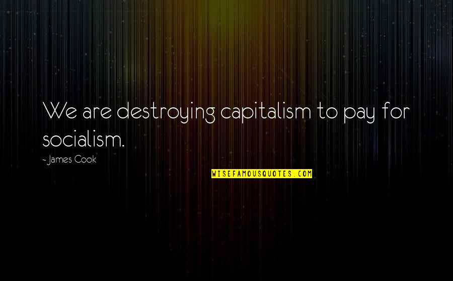 Destroying Quotes By James Cook: We are destroying capitalism to pay for socialism.