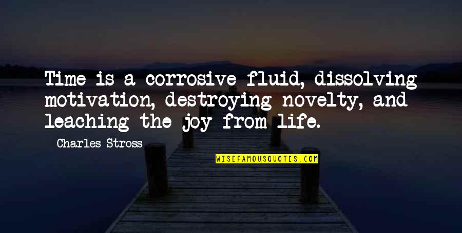 Destroying Your Life Quotes By Charles Stross: Time is a corrosive fluid, dissolving motivation, destroying