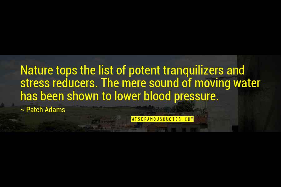 Destruction In Lord Of The Flies Quotes By Patch Adams: Nature tops the list of potent tranquilizers and